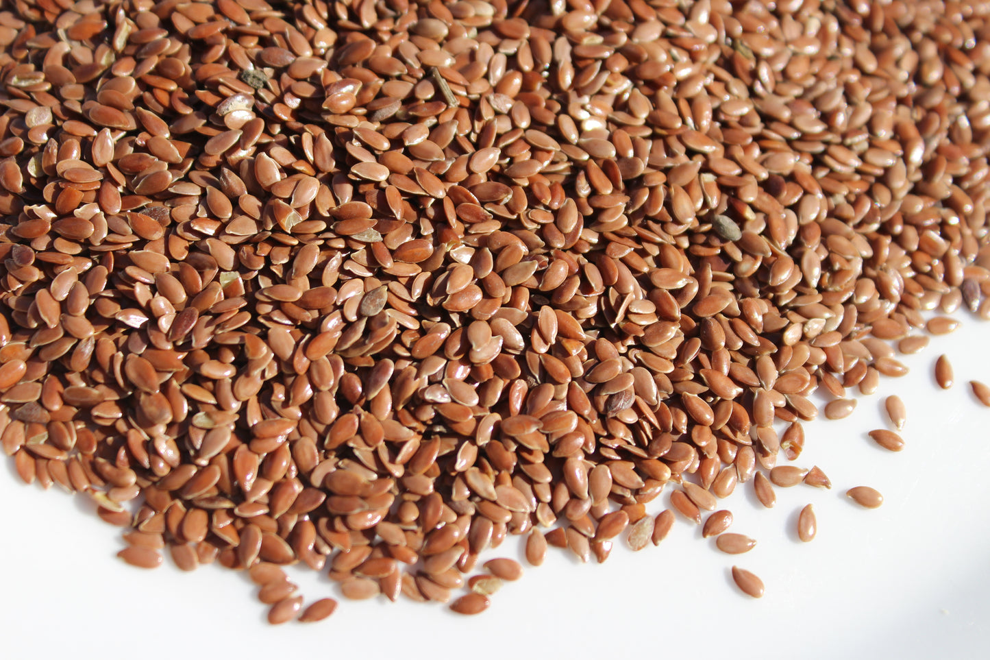 Linseed