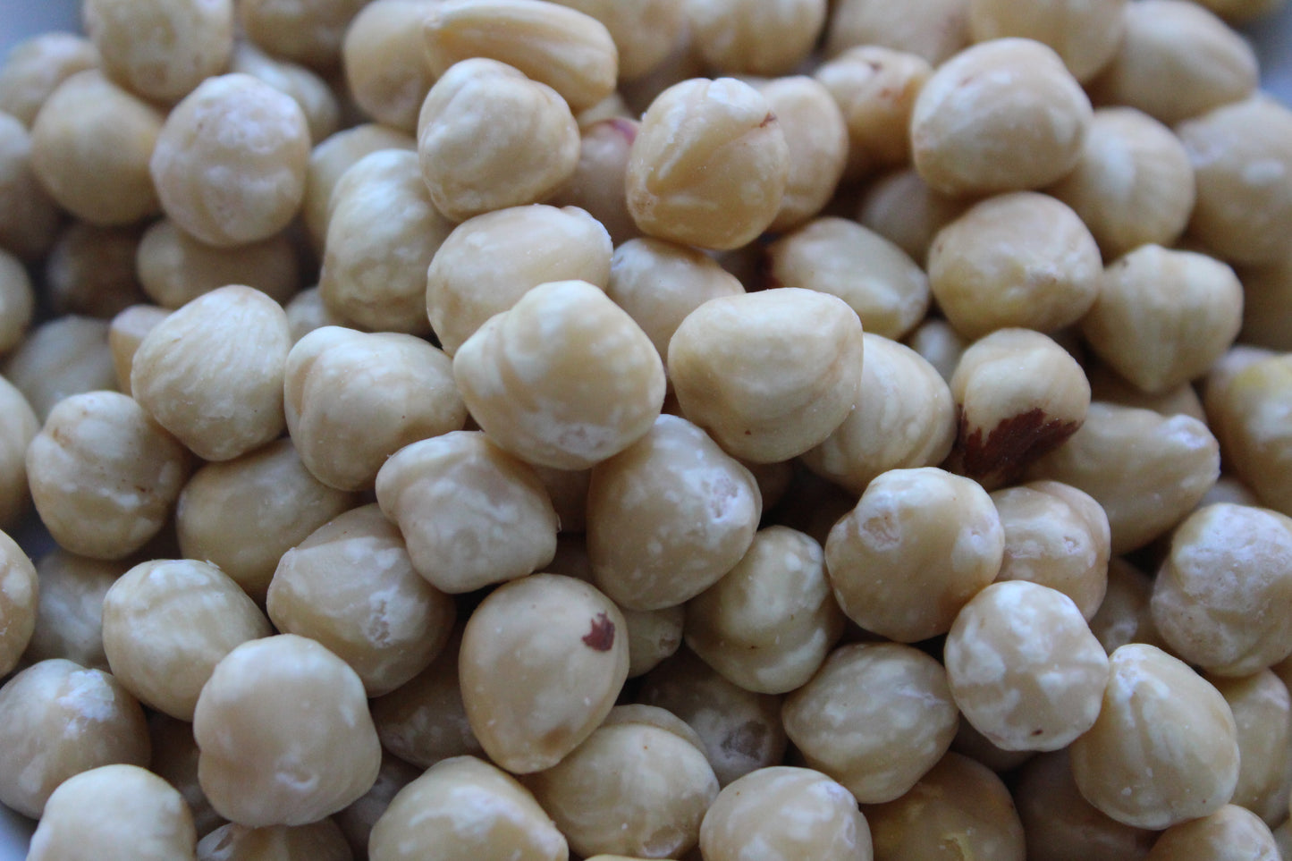 Hazel Nuts Blanched