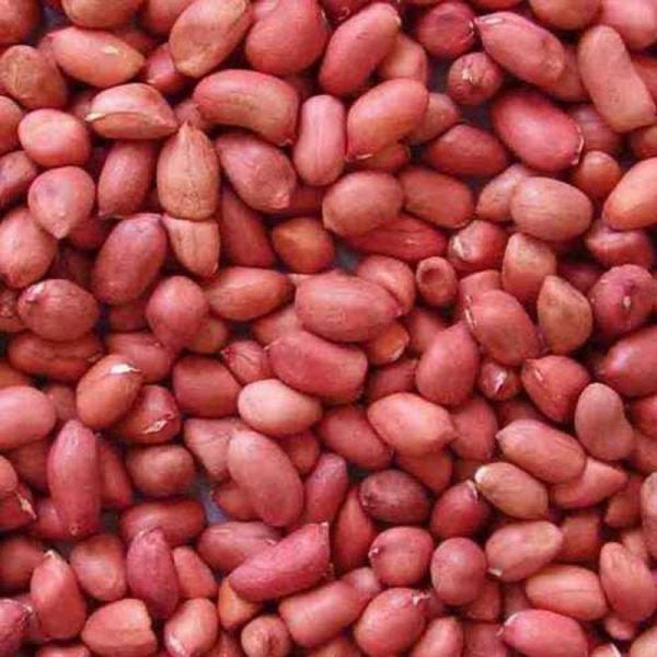 Giant Red Skin Peanuts Roasted & Unsalted