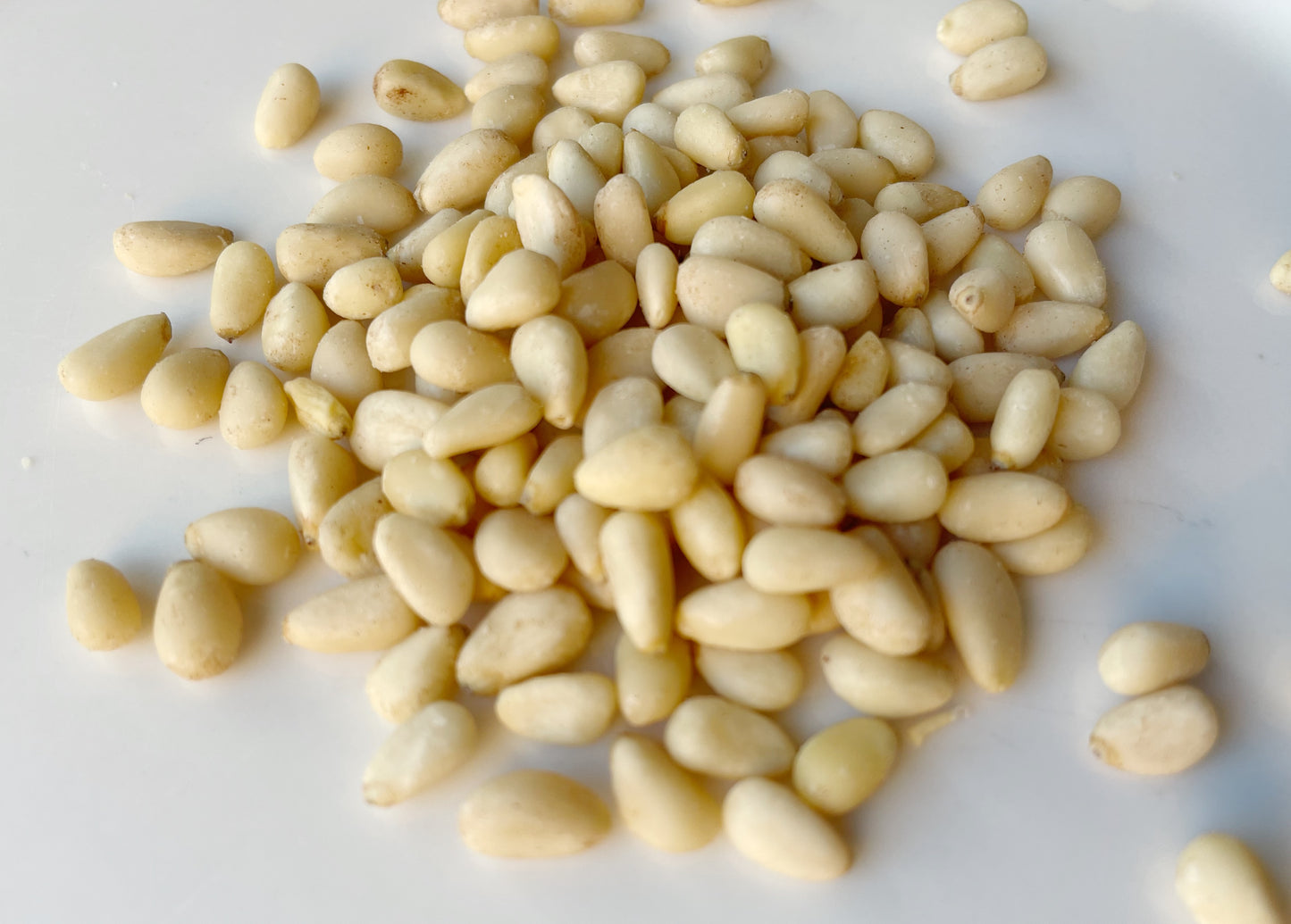 Pine Kernel Nuts