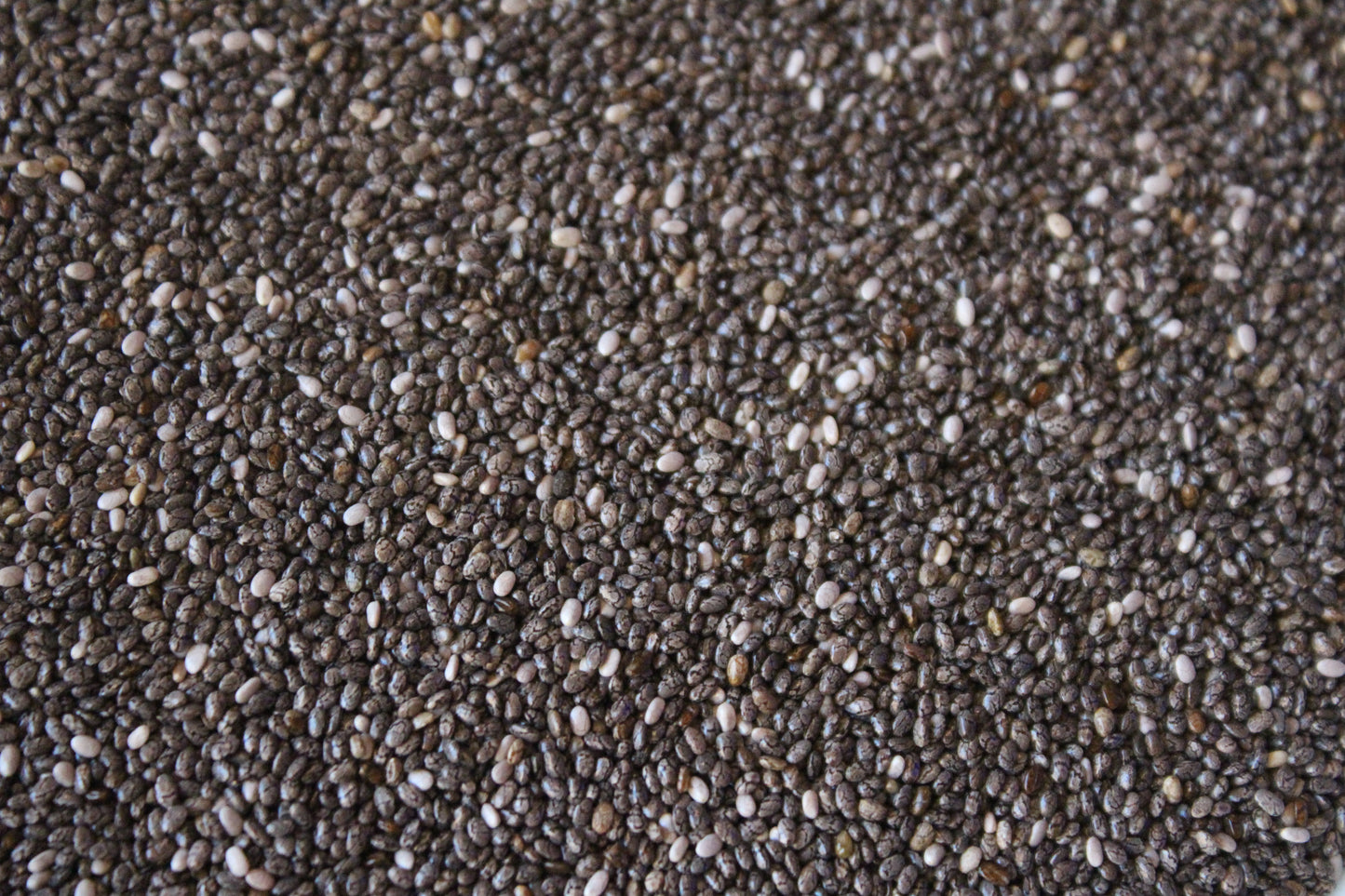 Chia Seeds