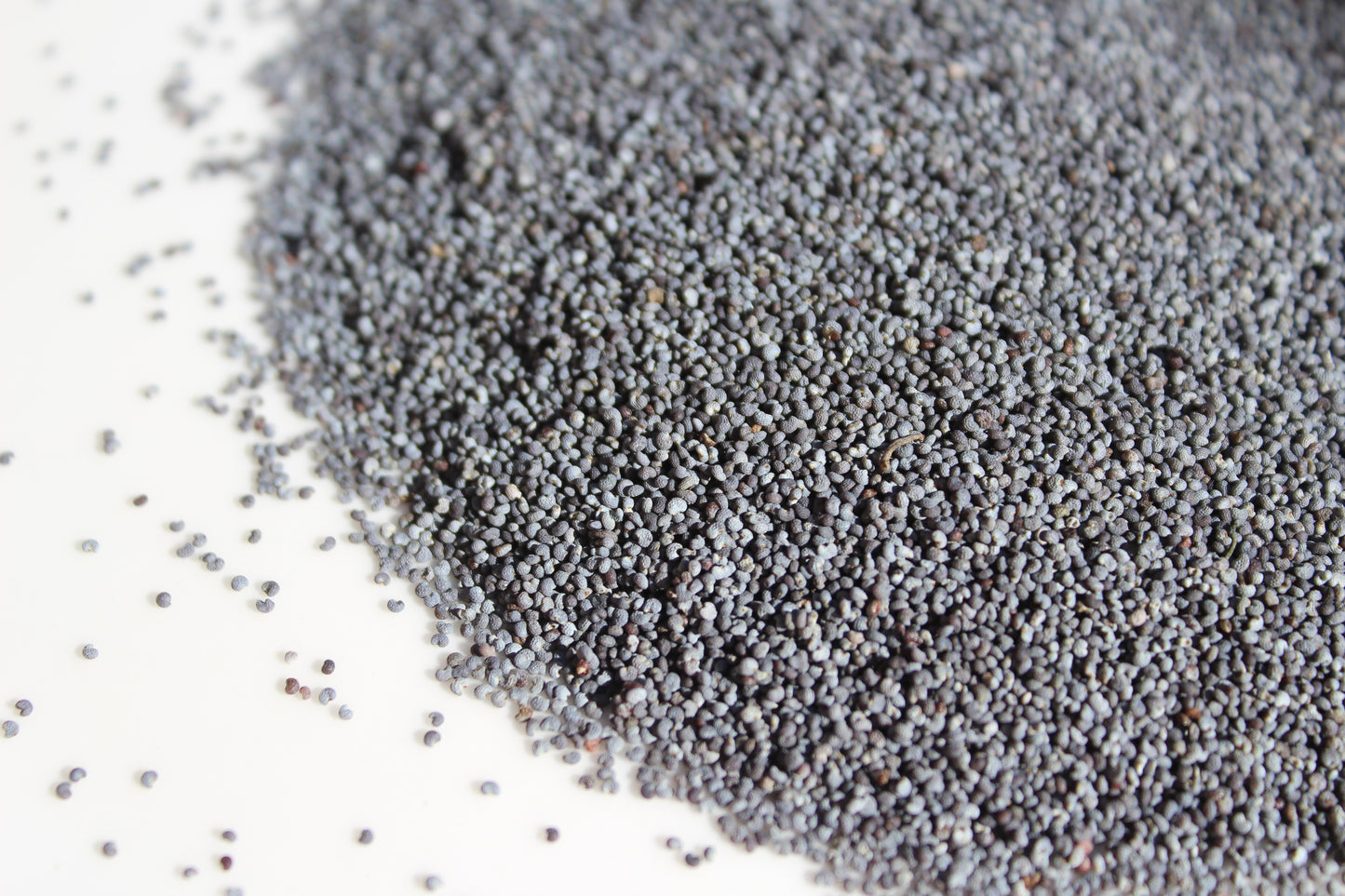Poppy Seeds