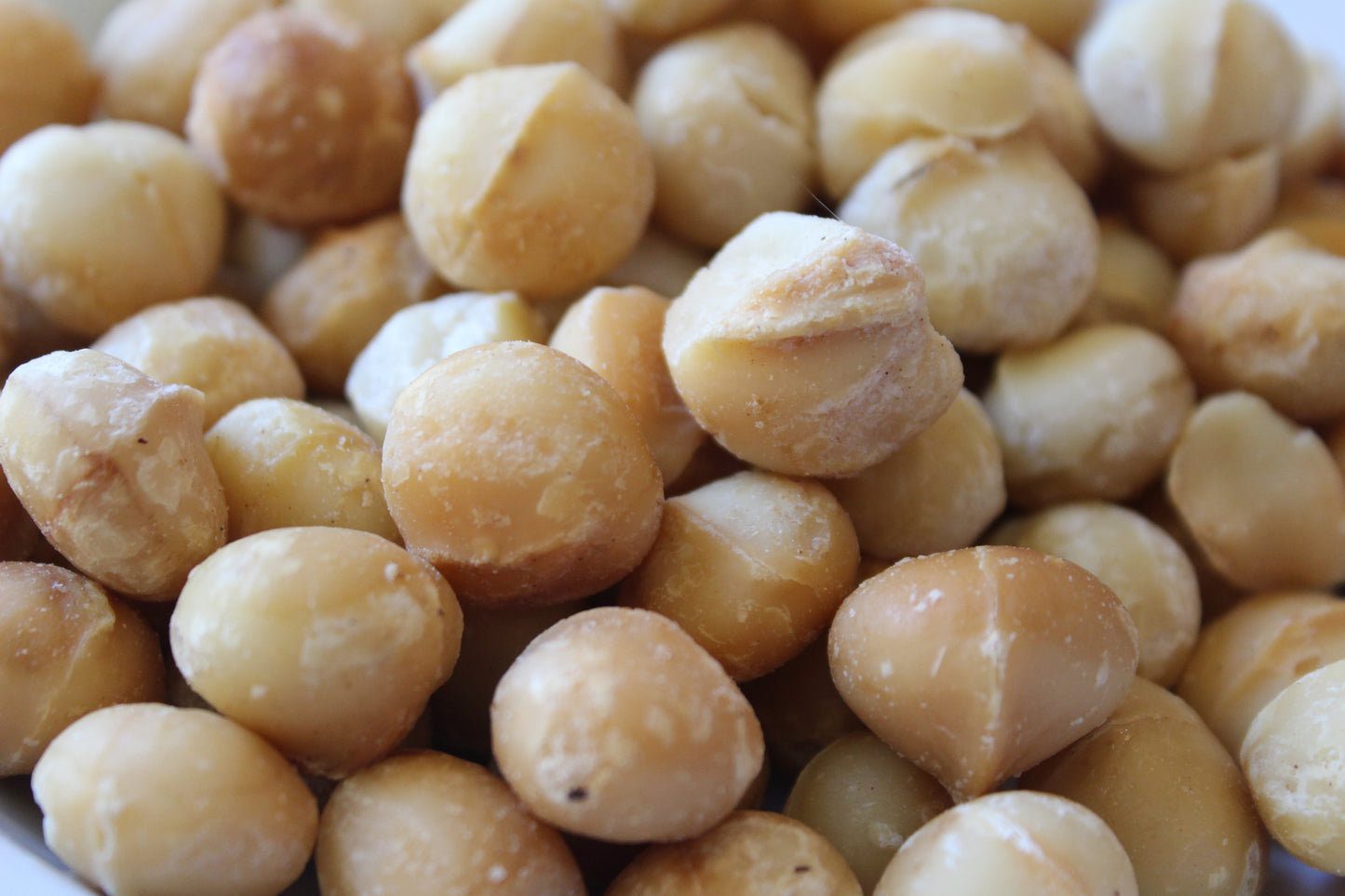 Macadamia Nuts Roasted & Salted